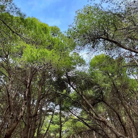 Appartamento Roel 1 -apartments