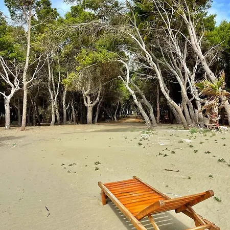 公寓 Villa Roel 1 -Apartments Near The Beach Vlore Vlorë