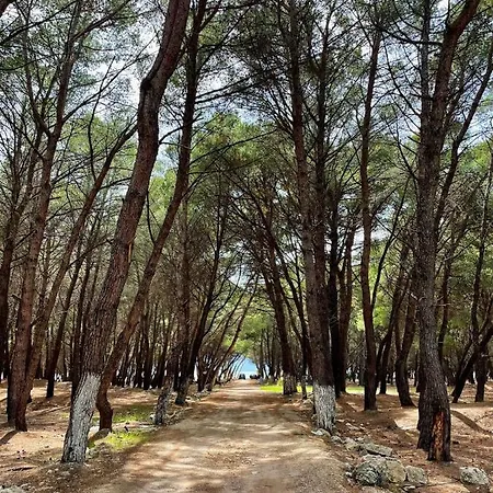 Apartamento Roel 1 -apartments Vlorë